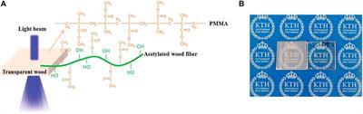 Prospects and Applications of Biomass-Based Transparent Wood: An Architectural Glass Perspective